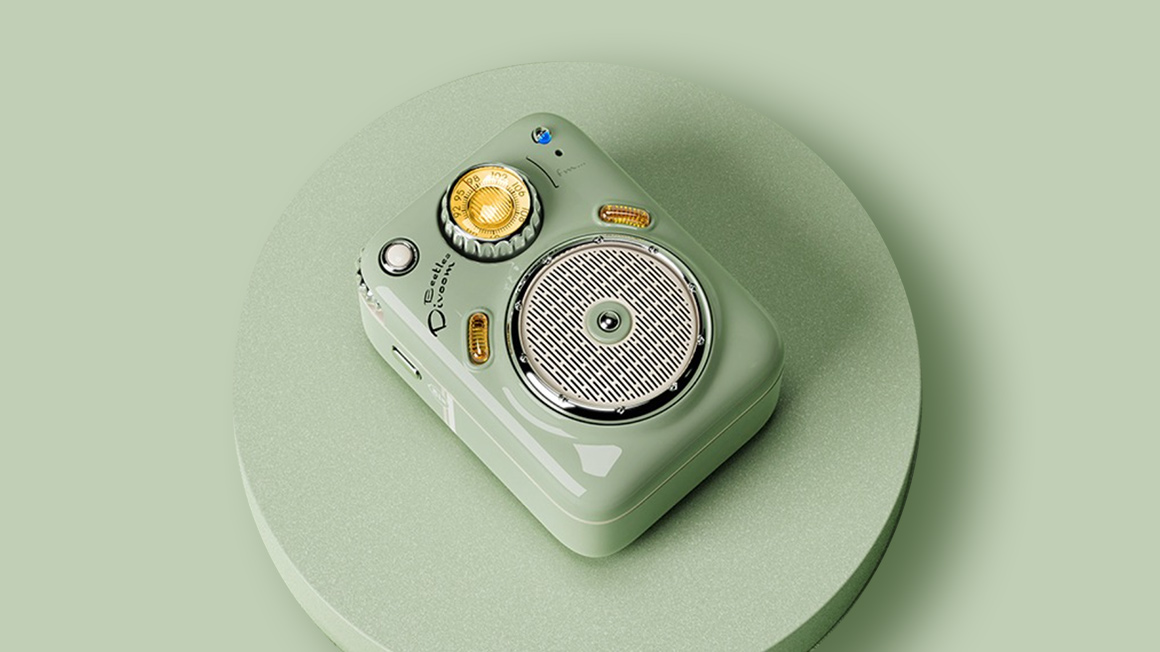 Portable / Wireless Speakers